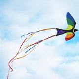 Wolkensturmer | Bonny Bird Kite