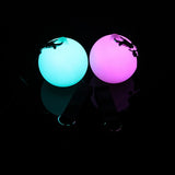 LED Glow Poi (Fade) - Soul Artists