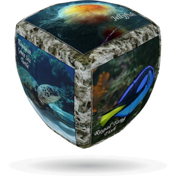 V-Cube Sea World Pillow Cube
