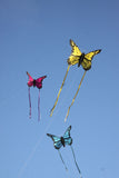 Wolkensturmer | Bella Butterfly Kite