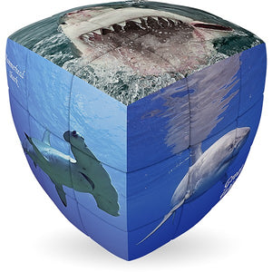V-Cube Sharks Pillow Cube